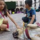 La convivencia con los niños es importante para quitar la mala idea que algunas personas tienen sobre la raza