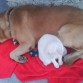 Aqui con mi hermano gato (luna)