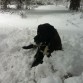 Feliz en la nieve y con su piedra