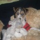 Jackito de bebito con su primer peluchito