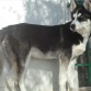 kero con 6 meses...