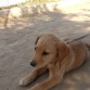 marley
