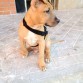 Otto con 3 meses
