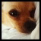 Mi chloe hermosa