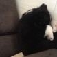 Durmiendo, hecho una bolita