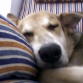 Ato en la siesta.