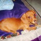 Su primer día en casa =)