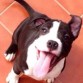 Feliz