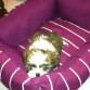 ESTRENANDO CAMA