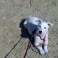 hugo en el parque,un sitio que le encanta