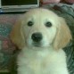 FIGO!!
