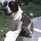 Yuza mostrando una pose