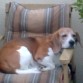 Le encantaba dormir la siesta en esa silla