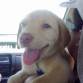 de paseo