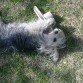 jugando