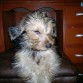 MI MAMI SECANDOME EL PELO