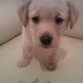 mi nena con 2 meses