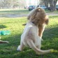 yago y candela jugando un a la peleita