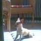 TOMANDO EL SOL