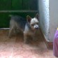 queriendo ir de paseo jiji