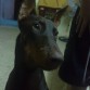 a 6 meses 