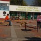 un perro en equilibrio físico y mental necesita ejercicio