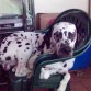 jejeje, descansando sobre una silla