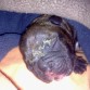 el primer dia 