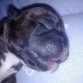 q caritaaa :(