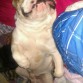 Asi duerme..jajaja