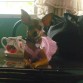 mi vestidito rosadooo