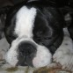 Descansando