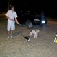 Tibu paseando las dos perras :)
