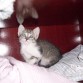 esta es su ksita!
