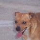 QUE SONRISA¡¡¡¡¡¡¡¡¡¡¡¡¡¡¡¡¡¡