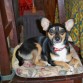 Chiquita :)