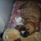 Zzzzzz...que cama mas amplia ... y para mi solito...