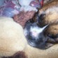 Zzzz