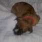 prefiero dormir en cama de mama..
