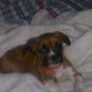 ups!!...me agarraron durmiendo en cama de mama..