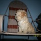 Yo en mi mesedora.!! estoy viendo quien llega.!!