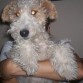 albina
