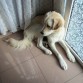 Mi pequeña tomando el sol después del baño