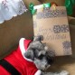 CON SU REGALO DE NAVIDAD  - DICIEMBRE 15 DEL 2012