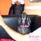 La cara de asco de la vieja! indignada por la invasion a SU SOFA!!!!!