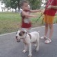 Rocko con mis niños paseando en el parque. ya con 2 meses y medio de edad.