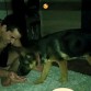 5 meses