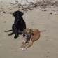 Rhocco y Su hermana karina en la Playa