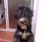Mi grandullon!!