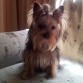 10 meses